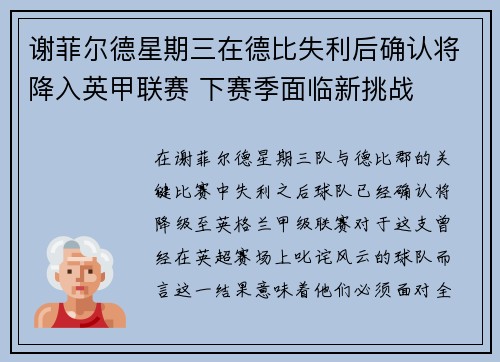 谢菲尔德星期三在德比失利后确认将降入英甲联赛 下赛季面临新挑战