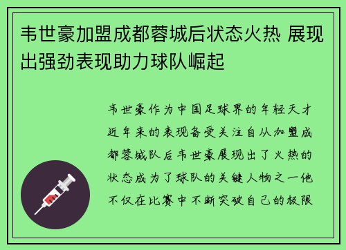 韦世豪加盟成都蓉城后状态火热 展现出强劲表现助力球队崛起